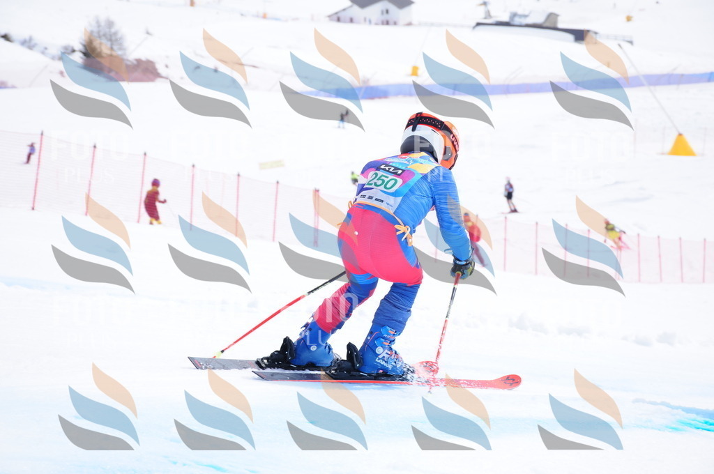 DSC_2362 | holidayphoto