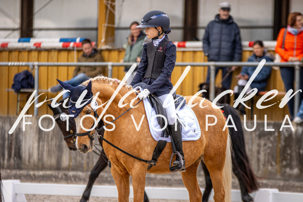 IMG_3713 | Erleben Sie dynamische Sport- und emotionale Tierfotografie in Süddeutschland mit Fotos von Paula. Spezialisiert auf Pferde- und Hundefotografie sowie Sportevents. Kontaktieren Sie mich für einzigartige und ausdrucksstarke Bilder Ihrer besonderen Momente. - Realisiert mit Pictrs.com