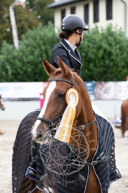 2B4A2378 | pixelfaenger - Realisiert mit Pictrs.com