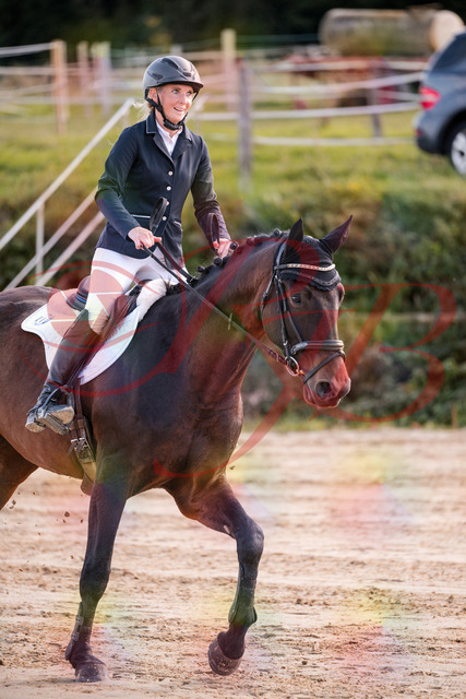 2026_10_03_Siefer-Hof_144108_Z81_13373414 | Professionelle Reitsport-, Turnier- und Eventfotografie von Robert Broda. Galerien mit ausgewählten und bearbeiteten Bildern direkt online ansehen und bestellen.
