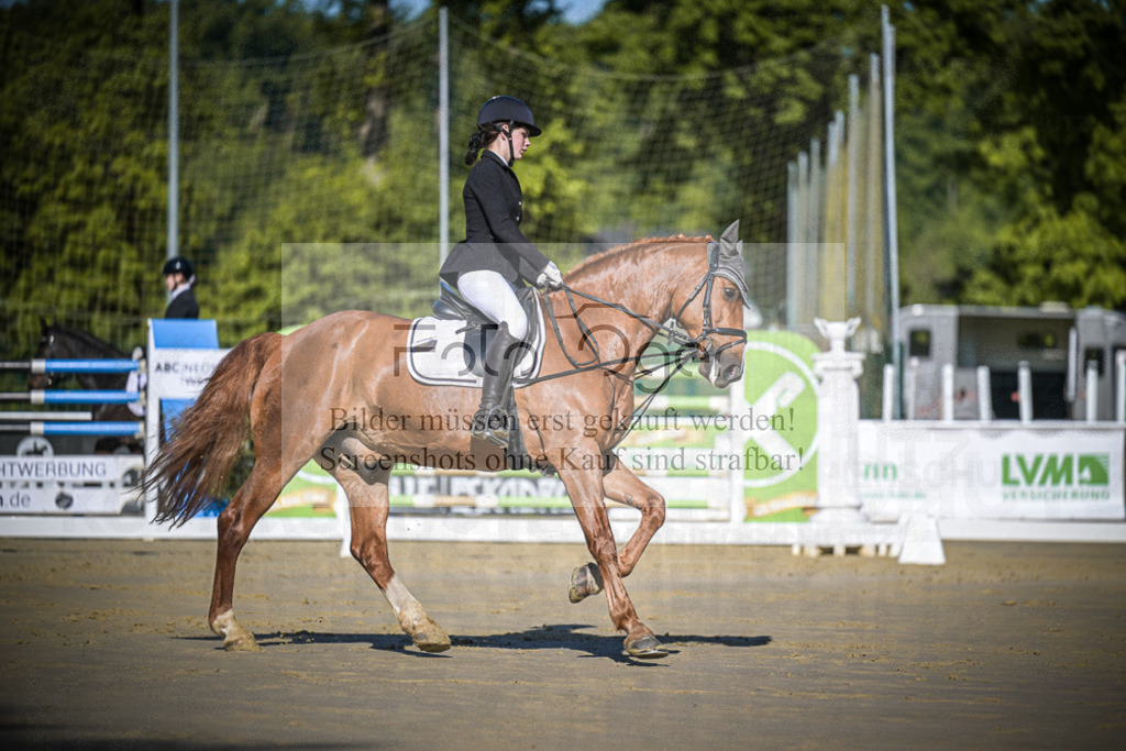 DOS_2992 | Entdecke hochwertige Reitturnierfotos von Foto Oger. Professionell, emotional und authentisch – jetzt Lieblingsmomente im Shop bestellen.Deutschlandweite Turnierfotografie. - Realisiert mit Pictrs.com