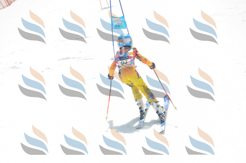 _ELE5704 | holidayphoto