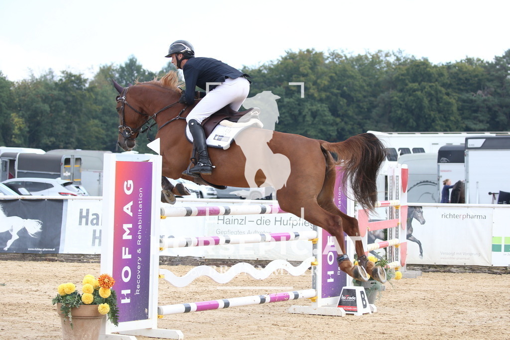 DL2Q5118 | Willkommen bei Brunnmayr - Design & Fotografie – Ihrem Spezialisten für Reitturniere und Pferdeveranstaltungen in Oberösterreich, Salzburg und Bayern! Seit über 17 Jahren sind wir leidenschaftlich dabei.