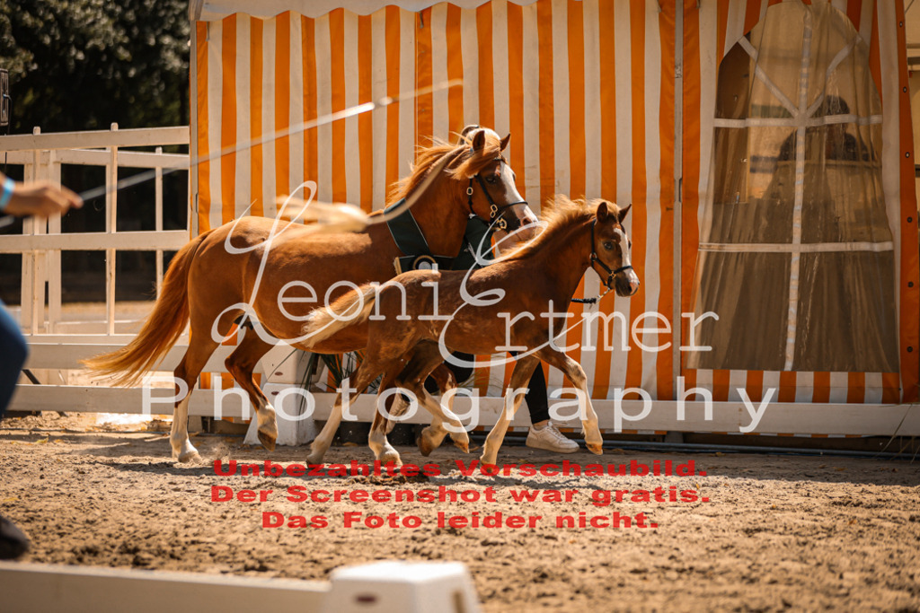 04.DoWP00117 | Leoni Ertmer Photography - Realisiert mit Pictrs.com