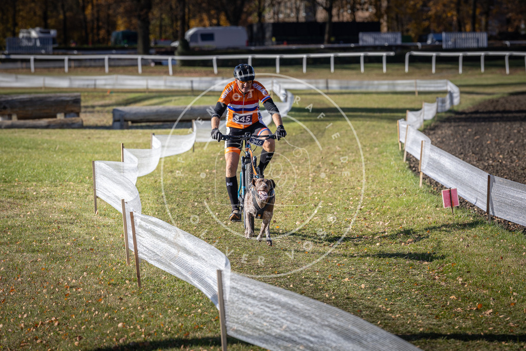 CaniXpix_DV3A7037 | Hundefotografie, Tierfotograf, Pfotenfotografie, Fotoshooting Hund, Hunde Portrait, Hundesport, Hundeportraits, Heideshooting, Hunde, Sportfotograf, Hundefotograf, Turnierhundsport, THS,  - Realisiert mit Pictrs.com