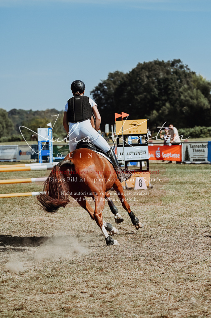DSC_9943 | Pferde- und Turnierfotografie in Westsachsen. Pferdeportraits, Auftragszeichnungen und intuitive Kunst.