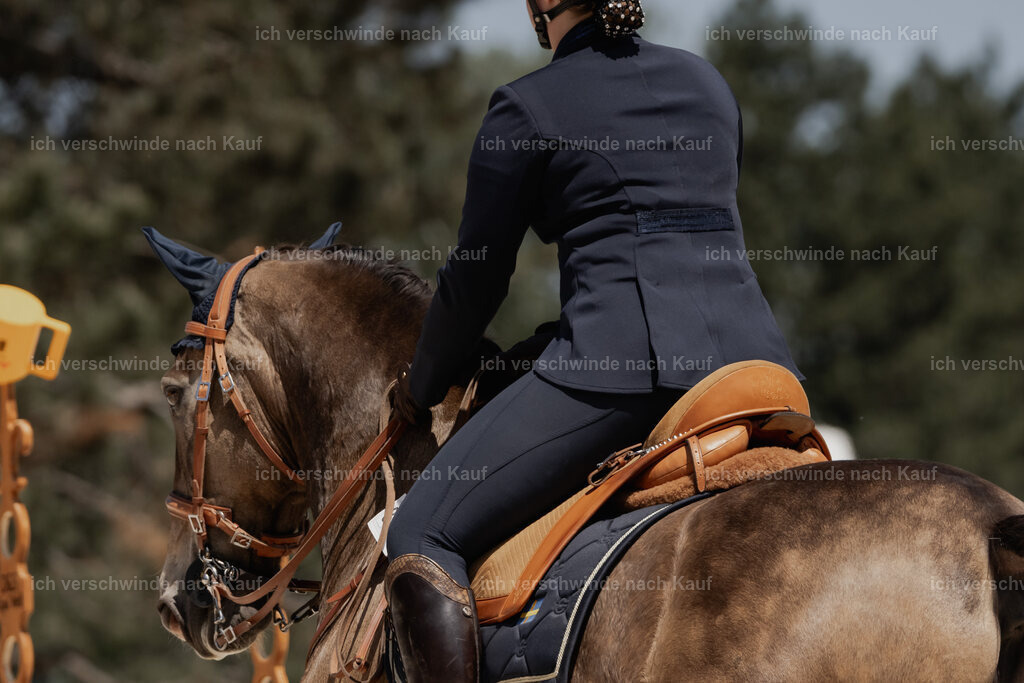 WE_SP_Stoib_329_PI2025_2005 | Pferd International München 2025