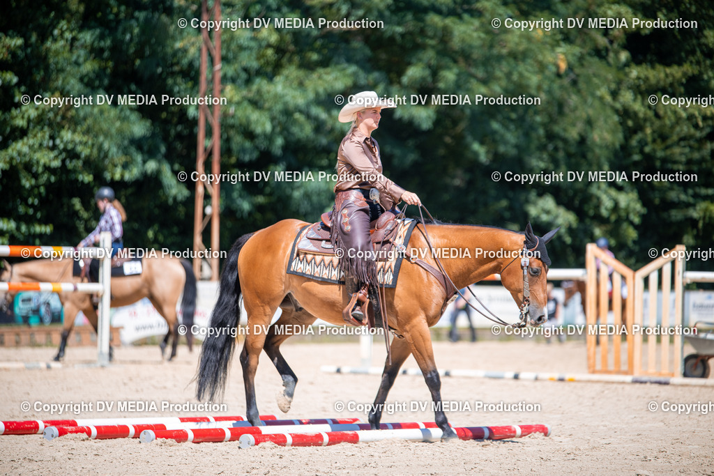 ZS1_1395 | dv-media-shop - Realisiert mit Pictrs.com