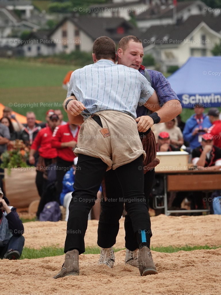 DSC04842 | Schwingen - Realisiert mit Pictrs.com