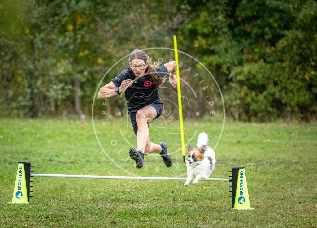 Pfotenfotografie_DV3A1530 | Hundefotografie, Tierfotograf, Pfotenfotografie, Fotoshooting Hund, Hunde Portrait, Hundesport, Hundeportraits, Heideshooting, Hunde, Sportfotograf, Hundefotograf, Turnierhundsport, THS,  - Realisiert mit Pictrs.com