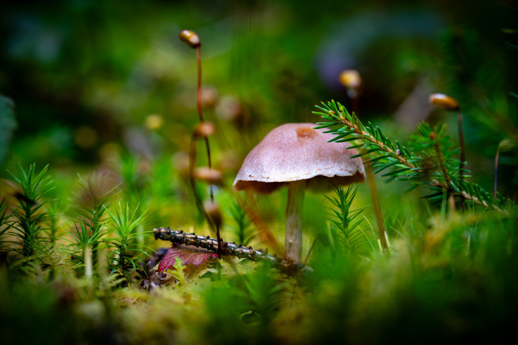 2024_10_13 A7V05451 | bridgeman - Realisiert mit Pictrs.com