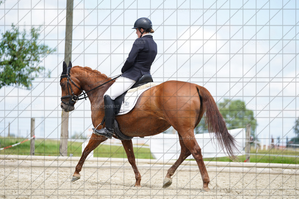 20230826-FAH05623 | Forstinning, 2023, Dressurturnier, Turniersportbilder, Turnierfotografen Bayern, Fotoagentur Herrmann, Reitsportfotografie, Turnierbilder