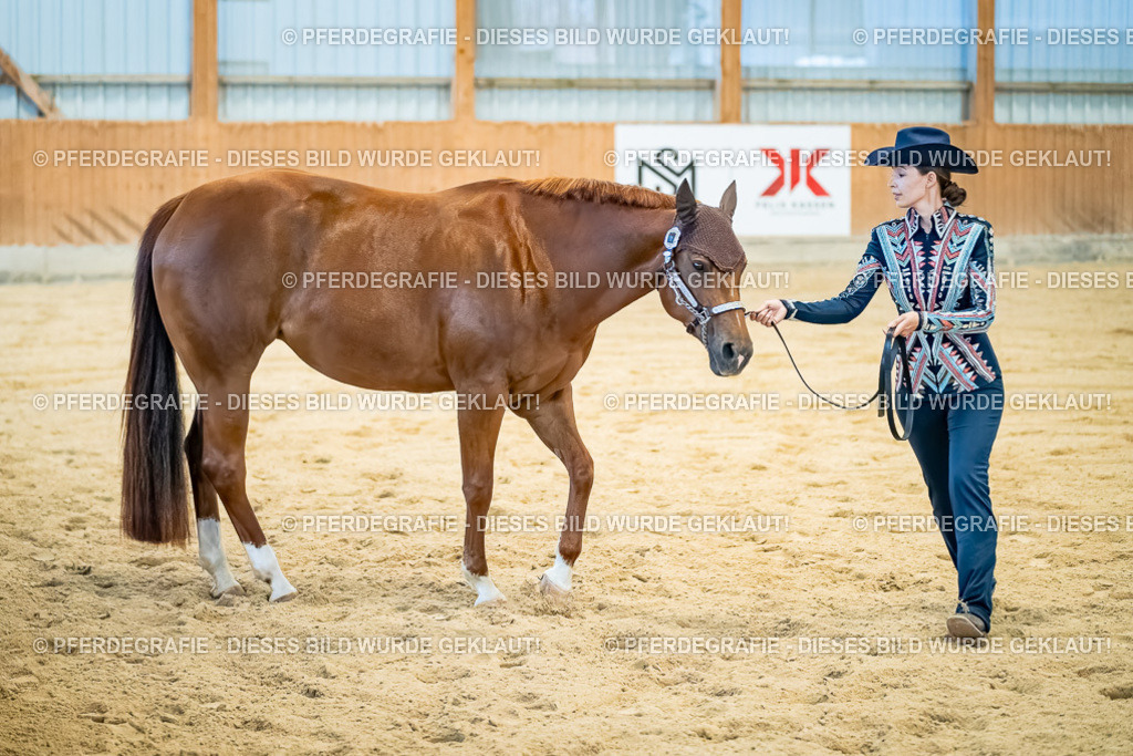 DSC09671 | Pferdegrafie