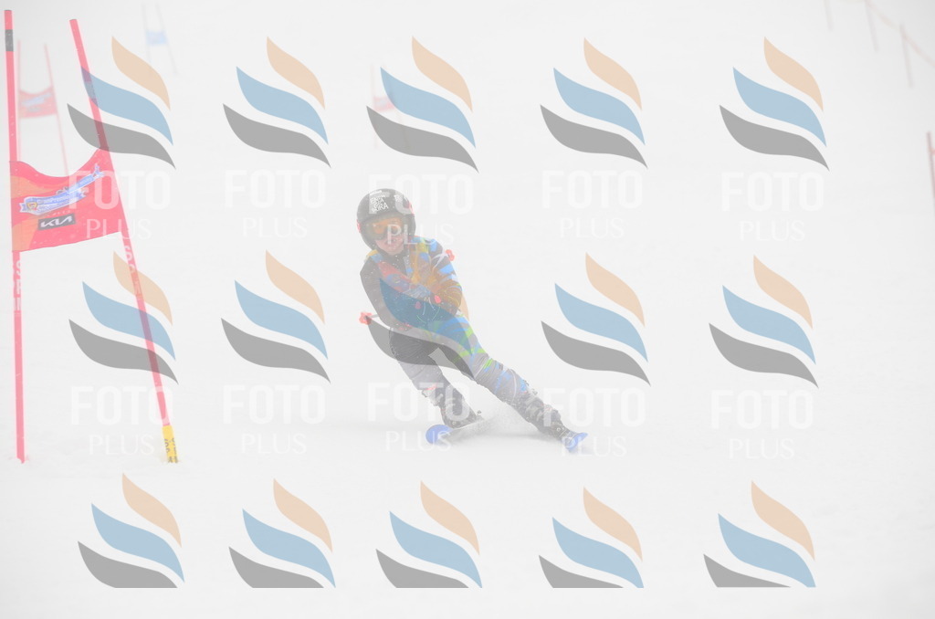 C0824 | holidayphoto