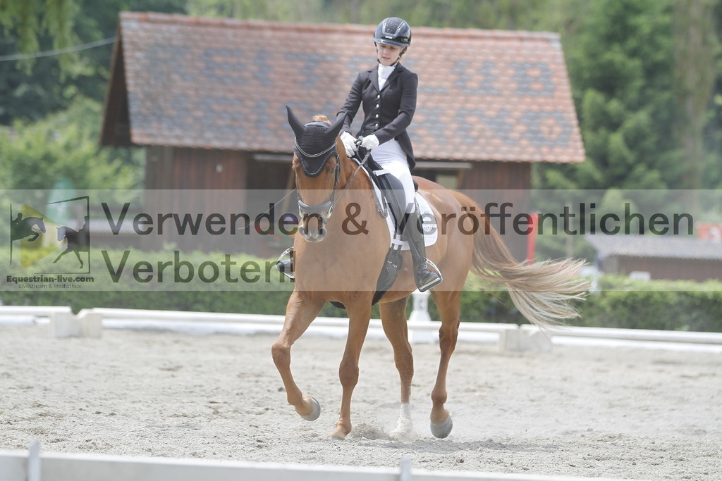 _MG_9447 | equestrian-live-com