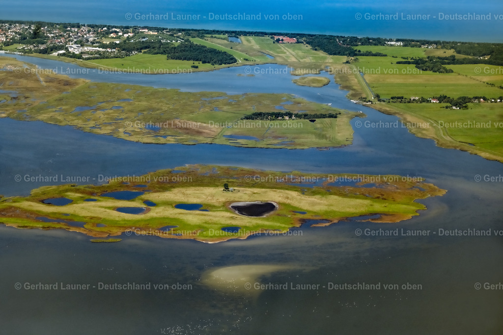 4061762 | Oie, Nationalpark Vorpommersche Boddenlandschaft,ZINGST 08.09.2021 Salzgrasland- Inseln und Vogelschutz- Gebiet in Zingst an der Ostseeküste im Bundesland Mecklenburg-Vorpommern, Deutschland.