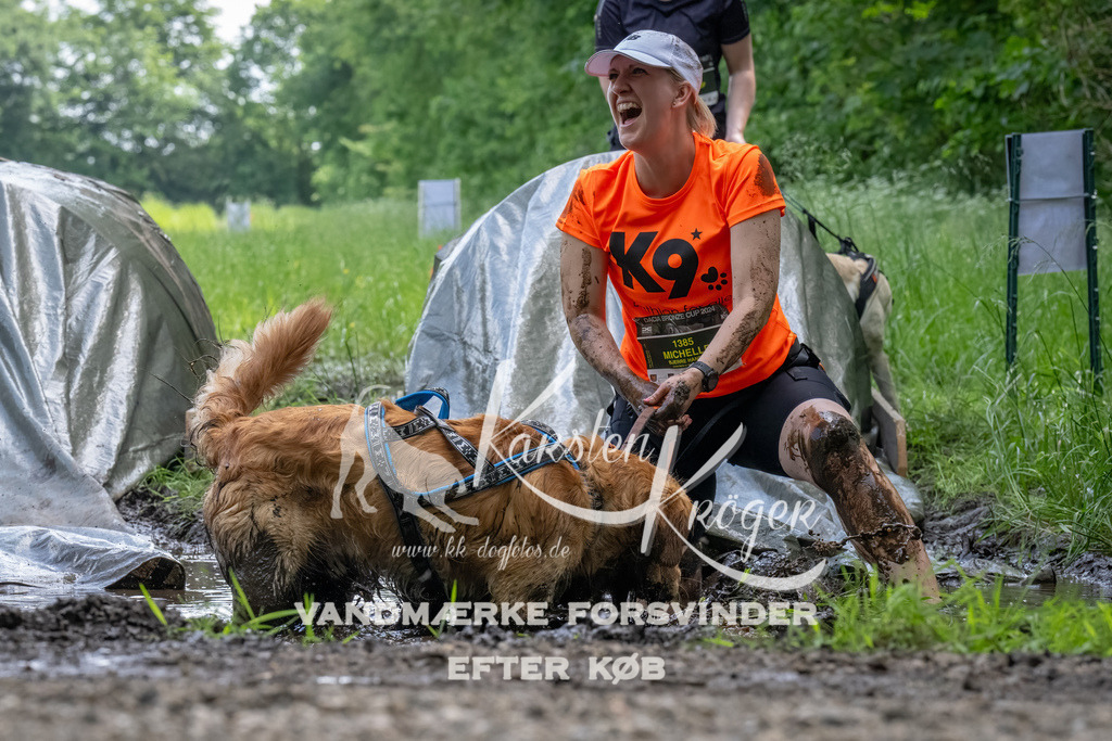 1145_ZZ94386-Bearbeitet | kk-dogfotos