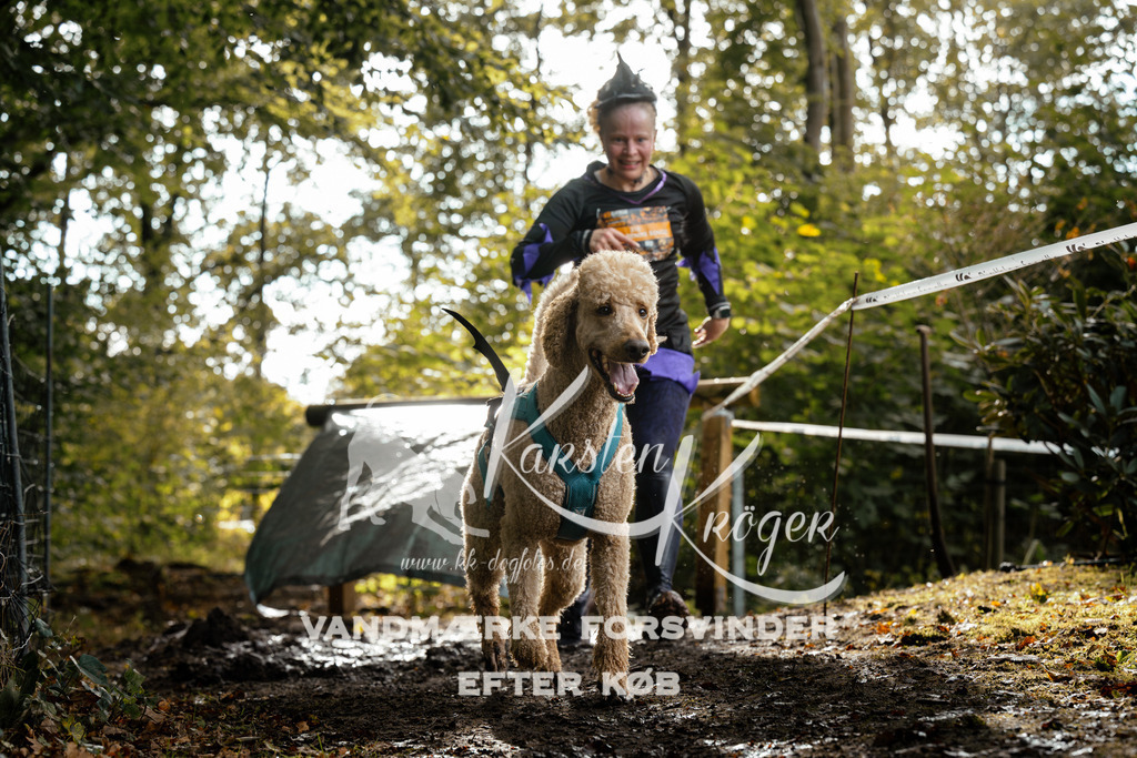 1457DZ6_4073Z6 | kk-dogfotos