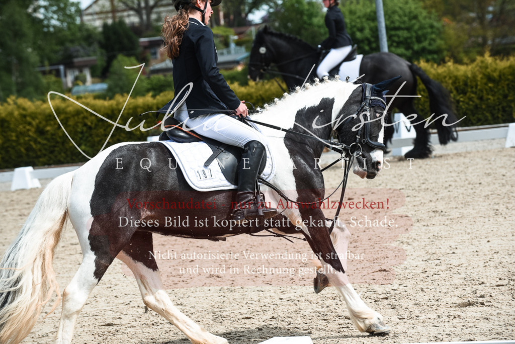 20230518_JK-Röhrsdorf-11-0318 | Pferde- und Turnierfotografie in Westsachsen. Pferdeportraits, Auftragszeichnungen und intuitive Kunst.
