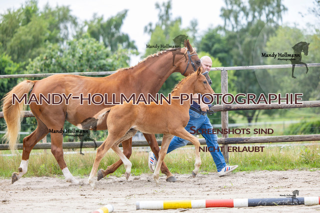 Hexenberg-170 | mandyhollmannphotographie