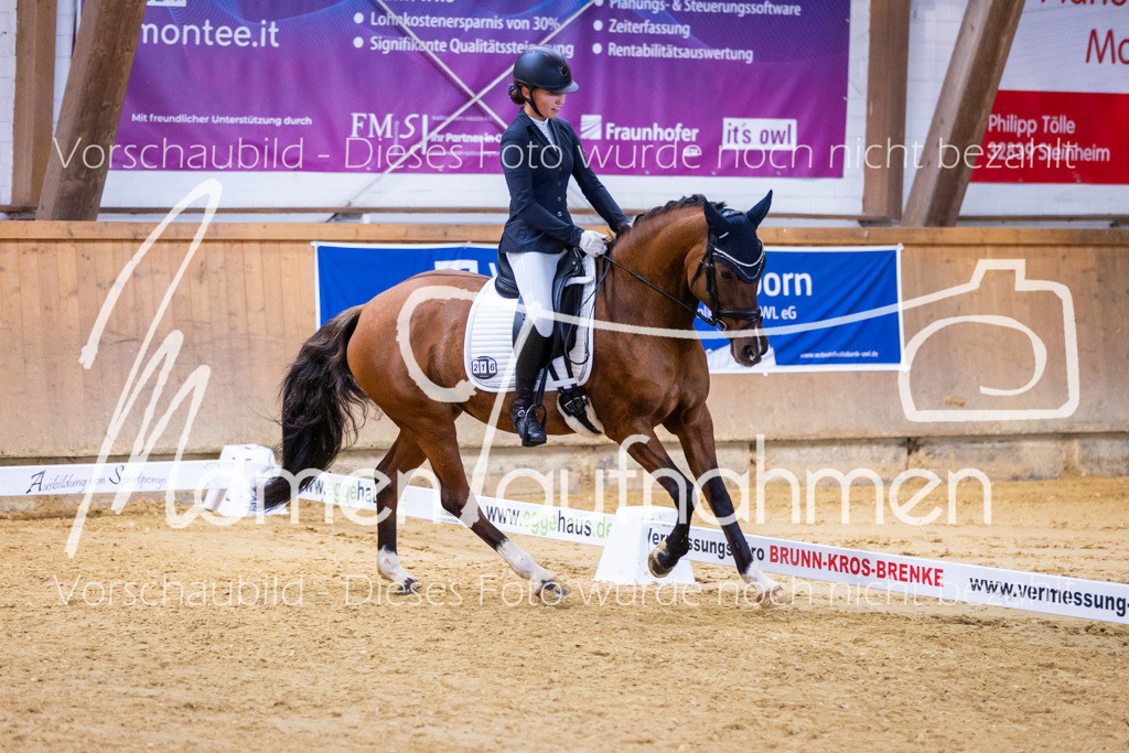 Sth-A-Dre-1St-305 | MomenTaufnahmen Pferdesportfotos