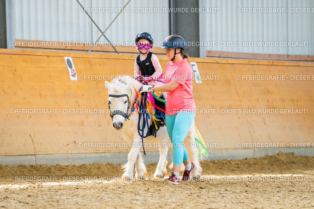 DSC00031 | Pferdegrafie