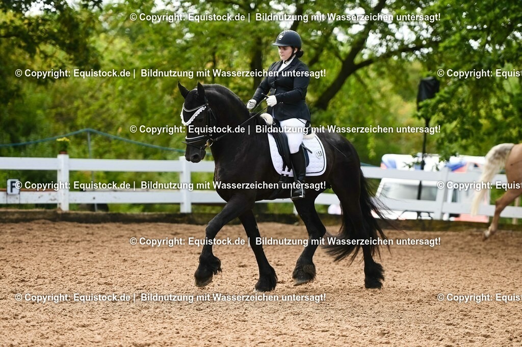 20230716_04_Dressurreiterprüfung Kl.A_0334 | equistock