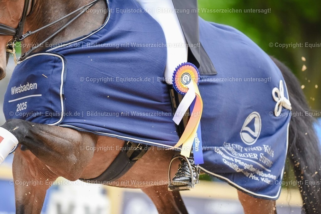 TS_20250607_1_GP-Tour_Dressage_0564 | Foto: Thomas Hartig