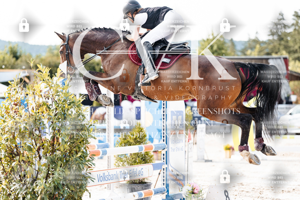 CK905833 | Turnierfotografie Pferdefotografie Trier Rheinland-Pfalz Pferdesport Reitsport Tierfotografie Sportfotografie Pferdevideo Pferdevideografie Equestrianvideography equestrianphotography  - Realisiert mit Pictrs.com