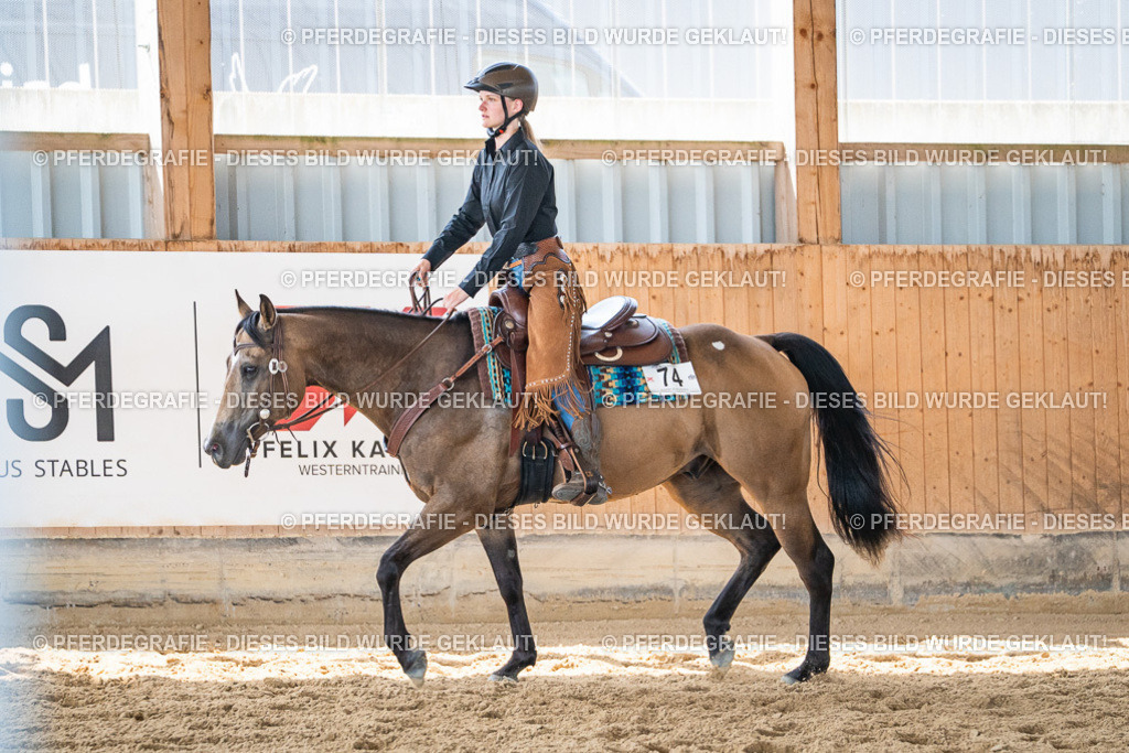 DSC03371 | Pferdegrafie