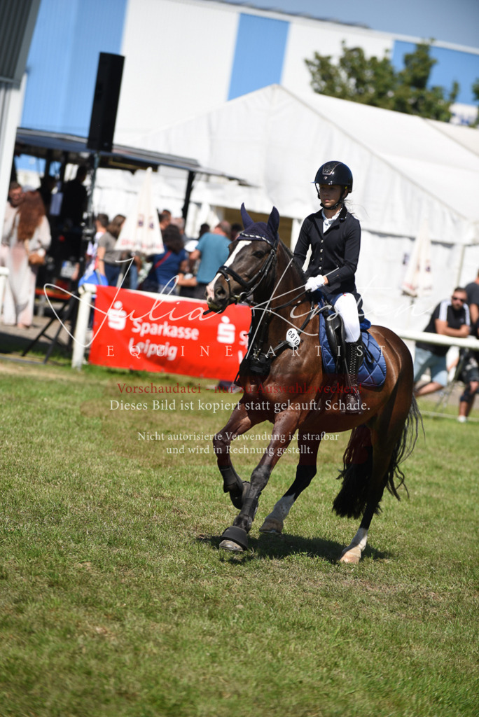 DSC_9583 | Pferde- und Turnierfotografie in Westsachsen. Pferdeportraits, Auftragszeichnungen und intuitive Kunst.