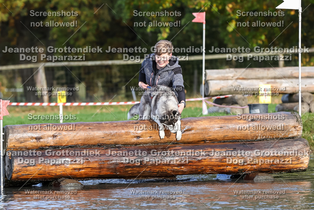 Dog Paparazzi - Strongdog 10-25-8347 | Dog Paparazzi Jeanette Grottendiek Fotografie & Videografie - Realisiert mit Pictrs.com