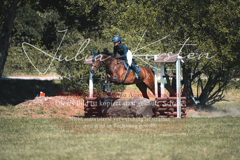 DSC_8374 | Pferde- und Turnierfotografie in Westsachsen. Pferdeportraits, Auftragszeichnungen und intuitive Kunst.