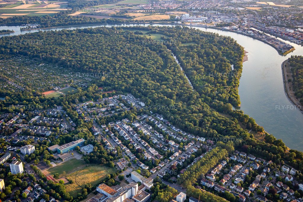 Luftbild: Reißinsel, Naturschutzgebiet in der Rheinschleife im Ortsteil Niederfeld in Mannheim im Bundesland Baden-Württemberg in Deutschland. Foto: IMG_137192.jpg vom 24.06.2023 durch Werner Riehm/FLY-FOTO.deWWW.TOURIST-MANNHEIM.DE