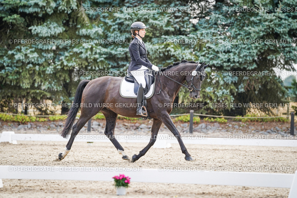 DSC00554 | Pferdegrafie