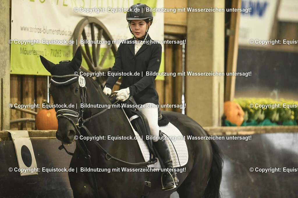 20231029_02_Reiter-WB_Schritt-Trab_Abteilung-02_0003 | Foto: Thomas Hartig