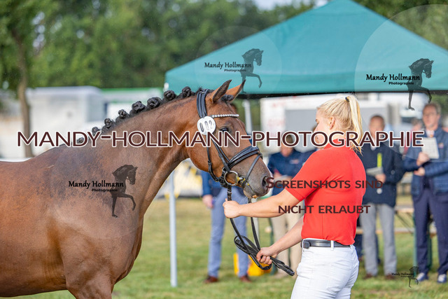DR (33 von 2698) | mandyhollmannphotographie