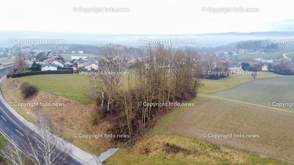 Donaulimes_ Naturdenkmal Kuhschellenboeschung_ 28.12.2022-9 | 28.12.2022, Wilhering, AUT, Donaulimes, im Bild Naturdenkmal Kuhschellenboeschung