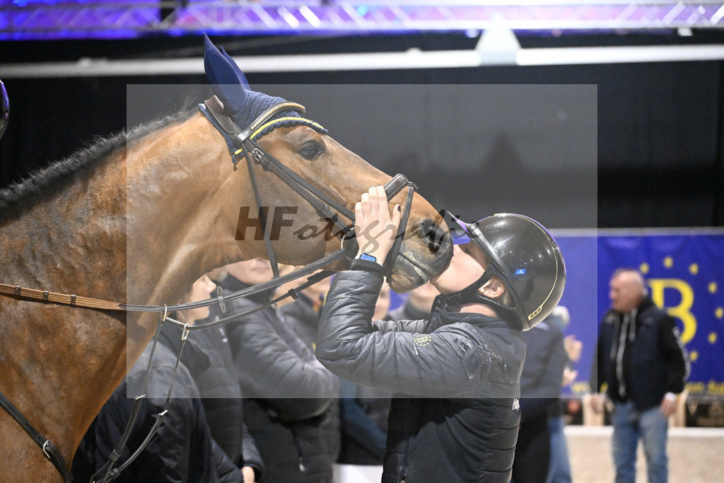 Impressionen Hengstpraesentation_14265034 | hf-fotografie - Realisiert mit Pictrs.com
