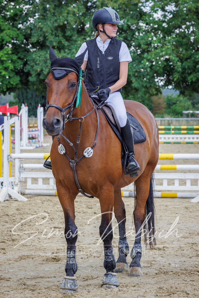 20260705-_3LI4793 | Tierfotografie Pferde, Hunde, Katzen, Haustiere.
Turnierfotografie Reitturniere, Reiten, Springreiten, Dressur in Hanau, dem Main-Kinzig-Kreis und dem Rhein-Main- Gebiet um Frankfurt
