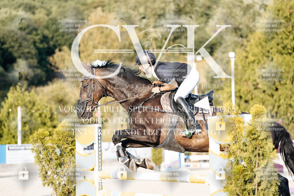 CK900790 | Turnierfotografie Pferdefotografie Trier Rheinland-Pfalz Pferdesport Reitsport Tierfotografie Sportfotografie Pferdevideo Pferdevideografie Equestrianvideography equestrianphotography  - Realisiert mit Pictrs.com