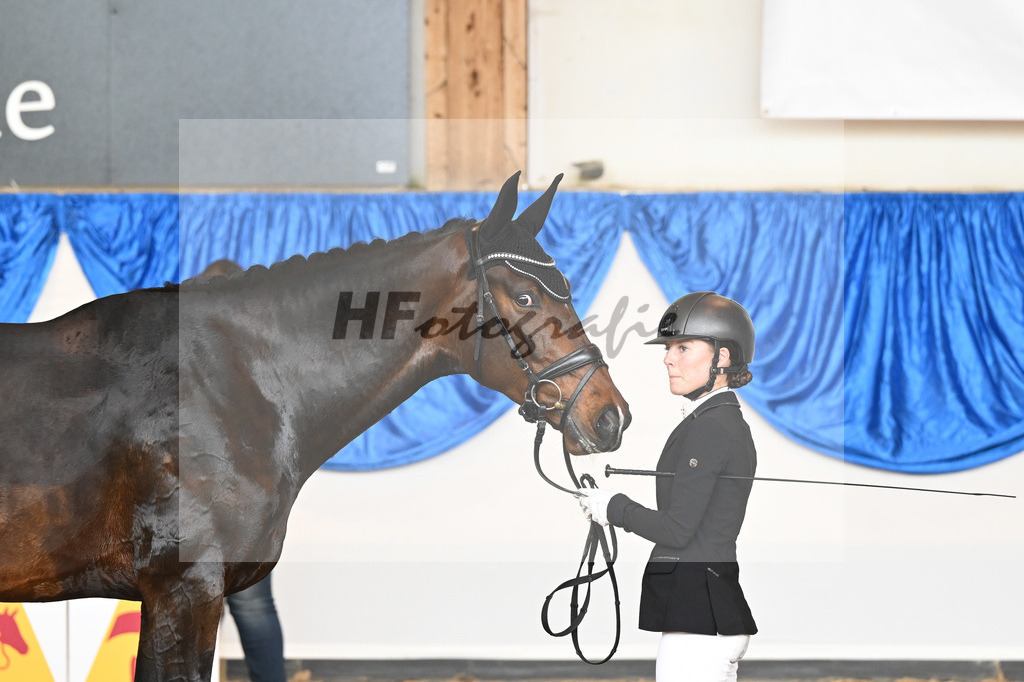 Halfter_Valerian S_10232015 | hf-fotografie - Realizzato con Pictrs.com