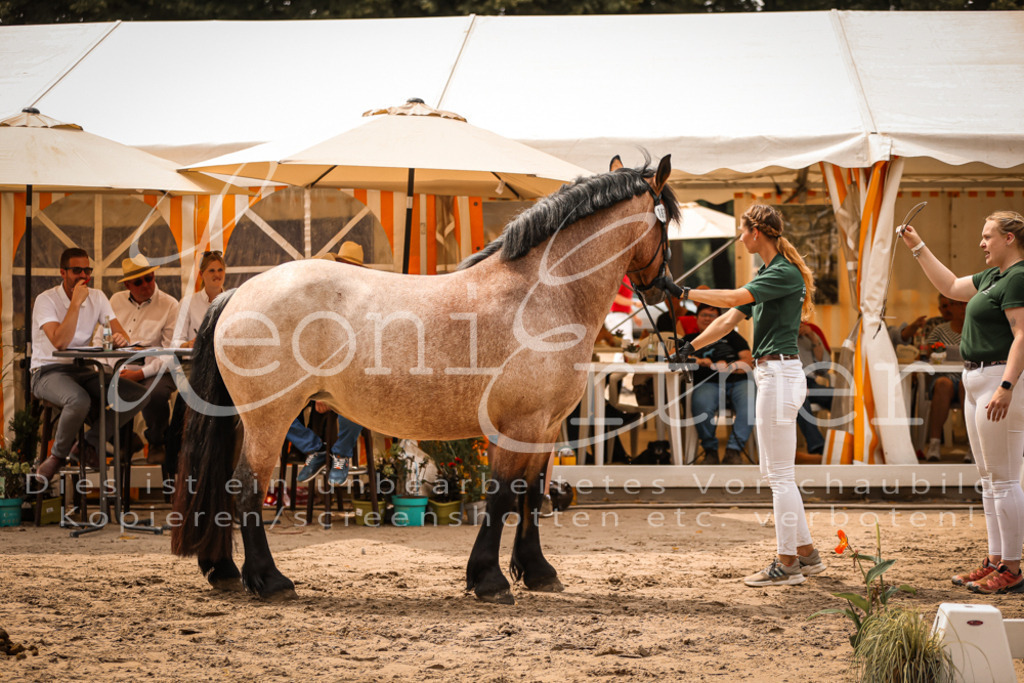 4.Sa00032 | Leoni Ertmer Photography - Realisiert mit Pictrs.com