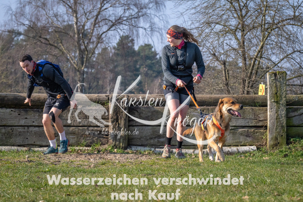 _ZZ91313 | kk-dogfotos