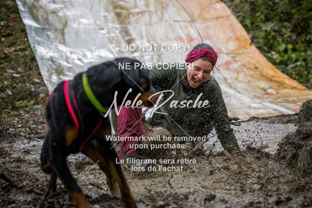 nelerasche_Hunsrück_Sa1300-1400_314-final | nelerasche