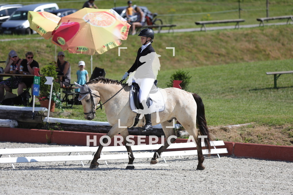 0P6A9917 | Willkommen bei Brunnmayr - Design & Fotografie – Ihrem Spezialisten für Reitturniere und Pferdeveranstaltungen in Oberösterreich, Salzburg und Bayern! Seit über 17 Jahren sind wir leidenschaftlich dabei.