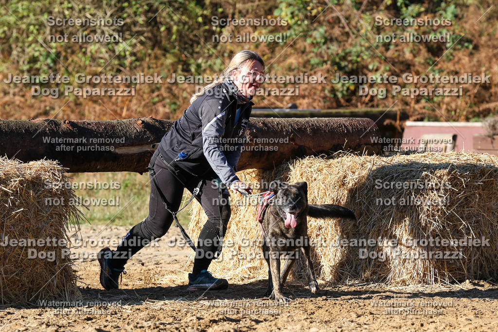 Dog Paparazzi - Strongdog 10-25-1697 | Dog Paparazzi Jeanette Grottendiek Fotografie & Videografie - Realisiert mit Pictrs.com