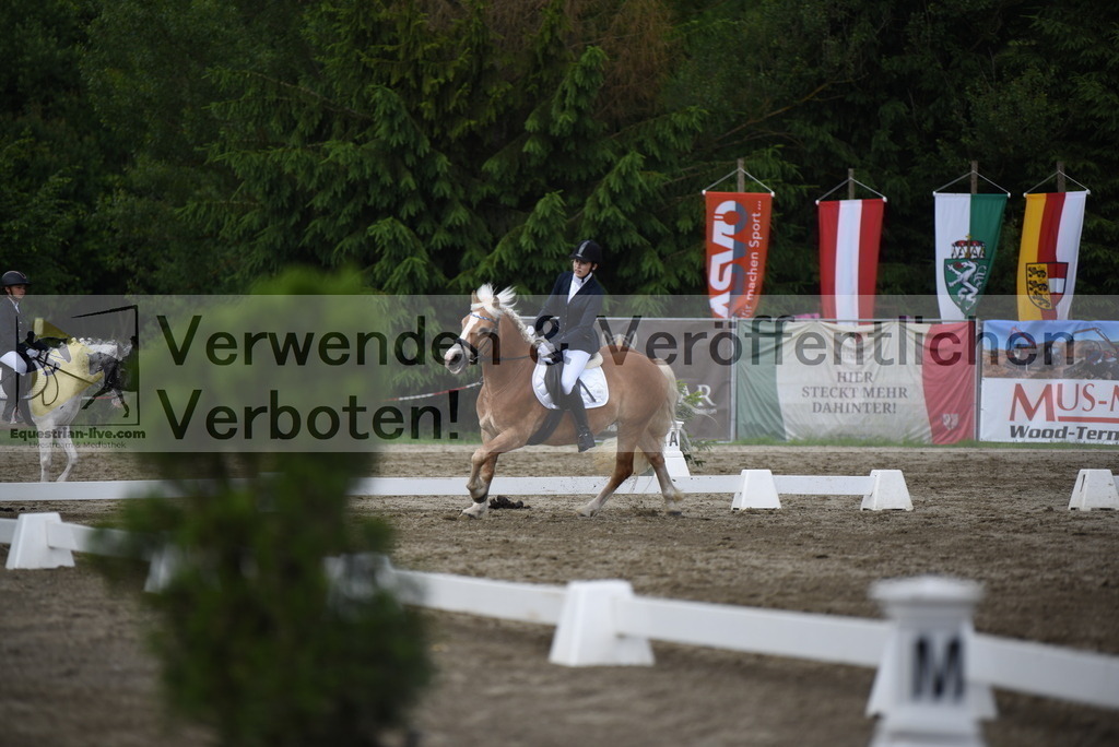 DSC_8686 | equestrian-live-com