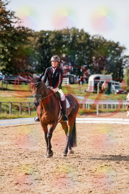 2026_10_03_Siefer-Hof_130542_Z63_69399195 | Professionelle Reitsport-, Turnier- und Eventfotografie von Robert Broda. Galerien mit ausgewählten und bearbeiteten Bildern direkt online ansehen und bestellen.