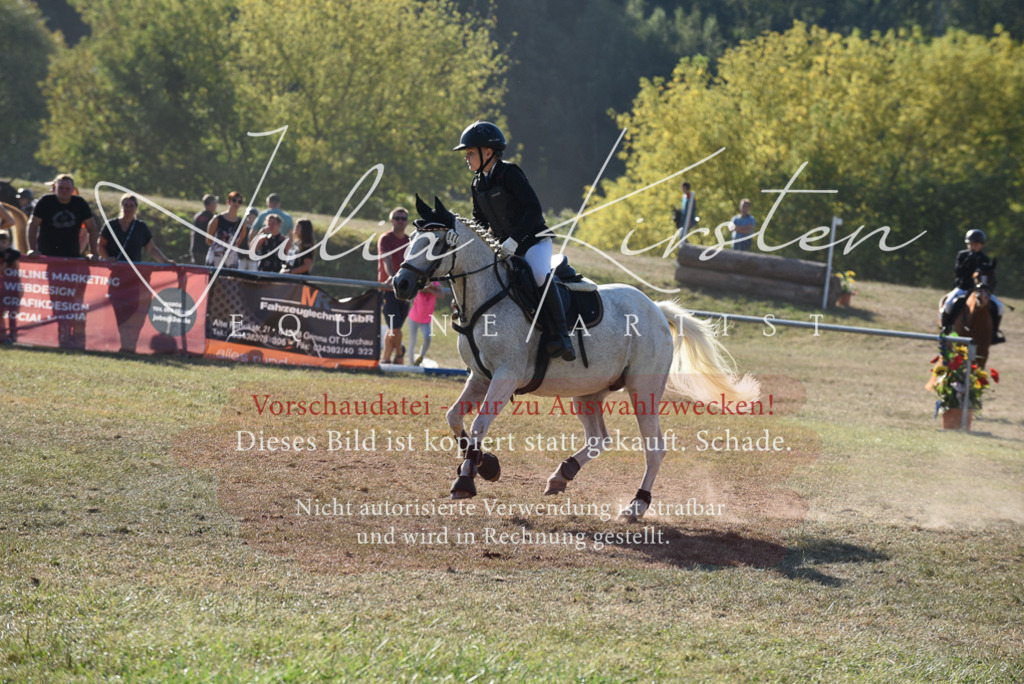 DSC_5668 | Pferde- und Turnierfotografie in Westsachsen. Pferdeportraits, Auftragszeichnungen und intuitive Kunst.